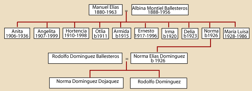 norma ancestry